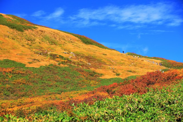 月山の紅葉