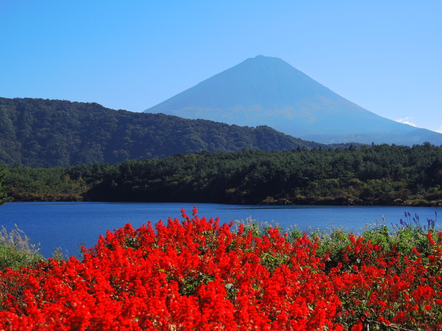 西湖と富士山