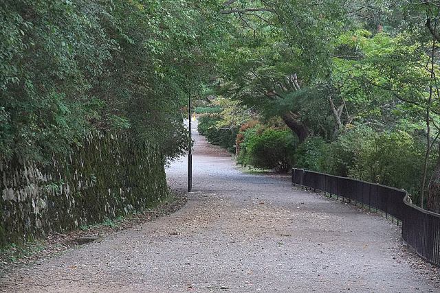 初秋の宝ヶ池公園