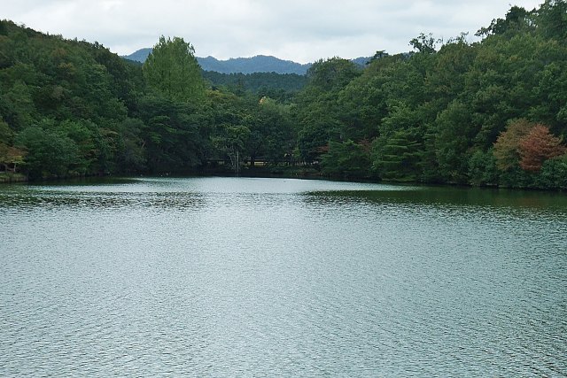 初秋の宝ヶ池