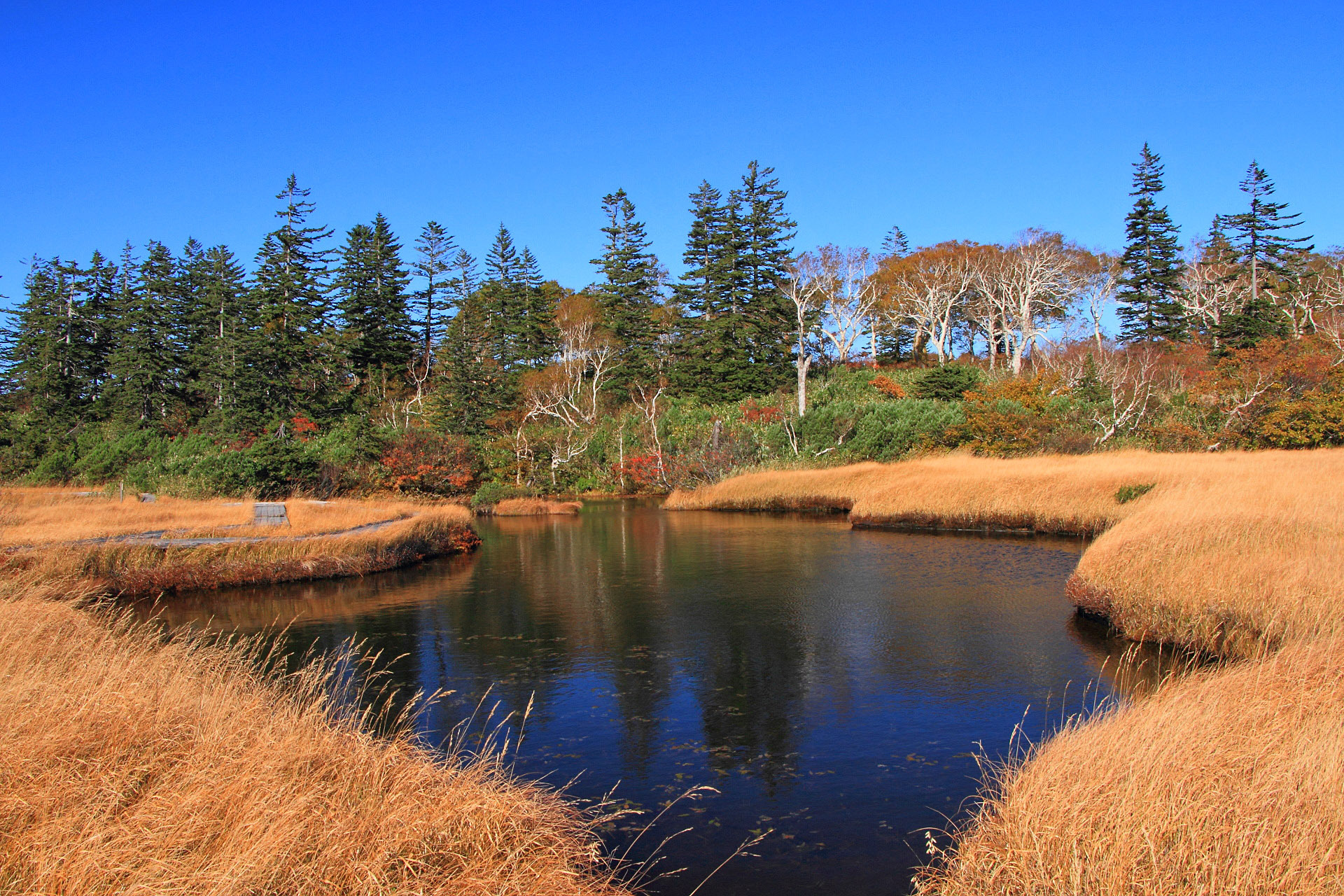 日本の風景 ニセコ神仙沼 朝の池塘 壁紙19x1280 壁紙館