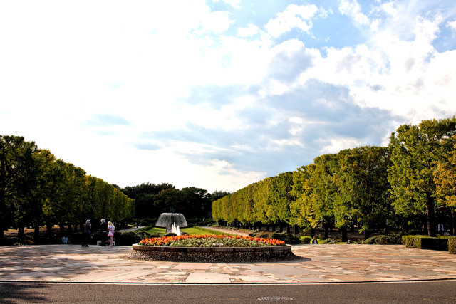 噴水のある公園