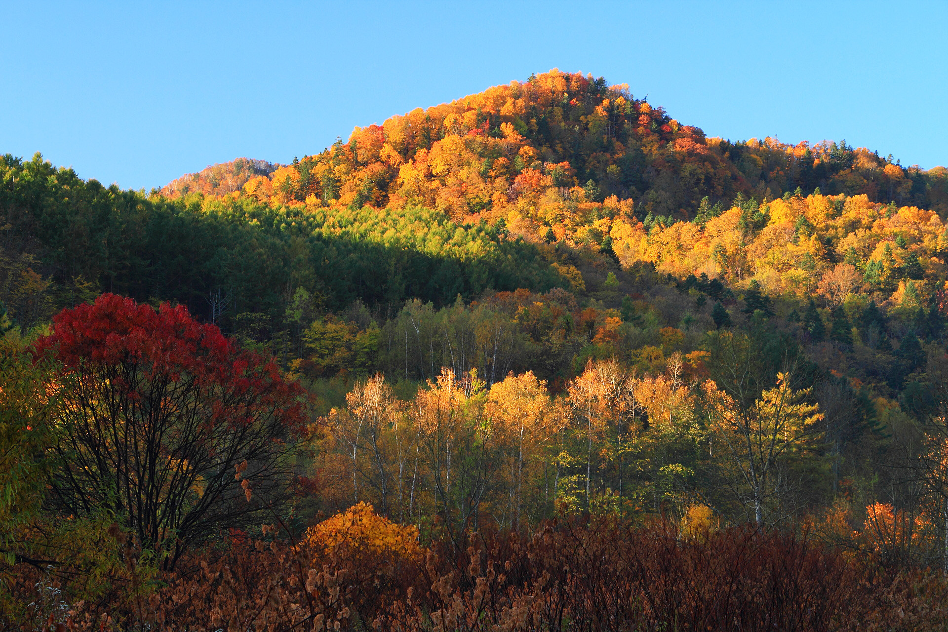 日本の風景 朝の紅葉 中山峠 1 壁紙19x1280 壁紙館