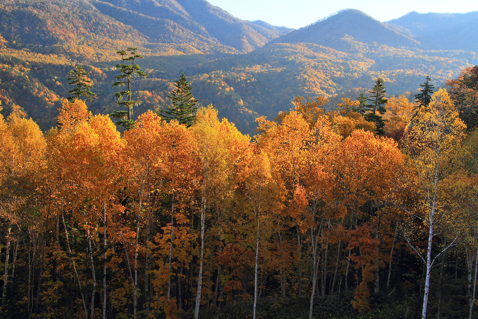 日本の風景 朝の紅葉 中山峠 3 壁紙19x1280 壁紙館