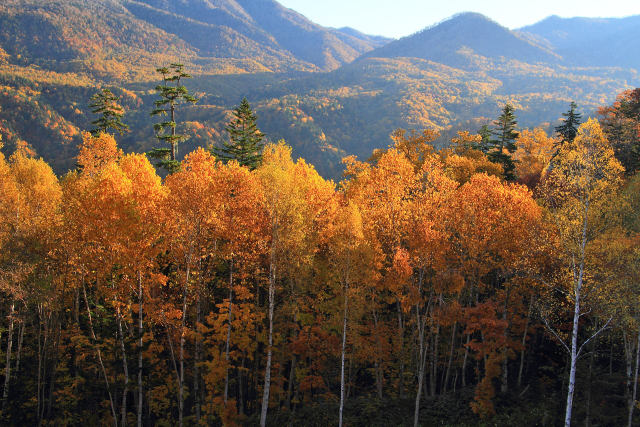 朝の紅葉～中山峠 3