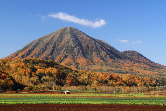 深秋の尻別岳