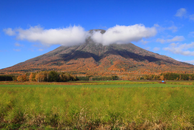 深秋の羊蹄山