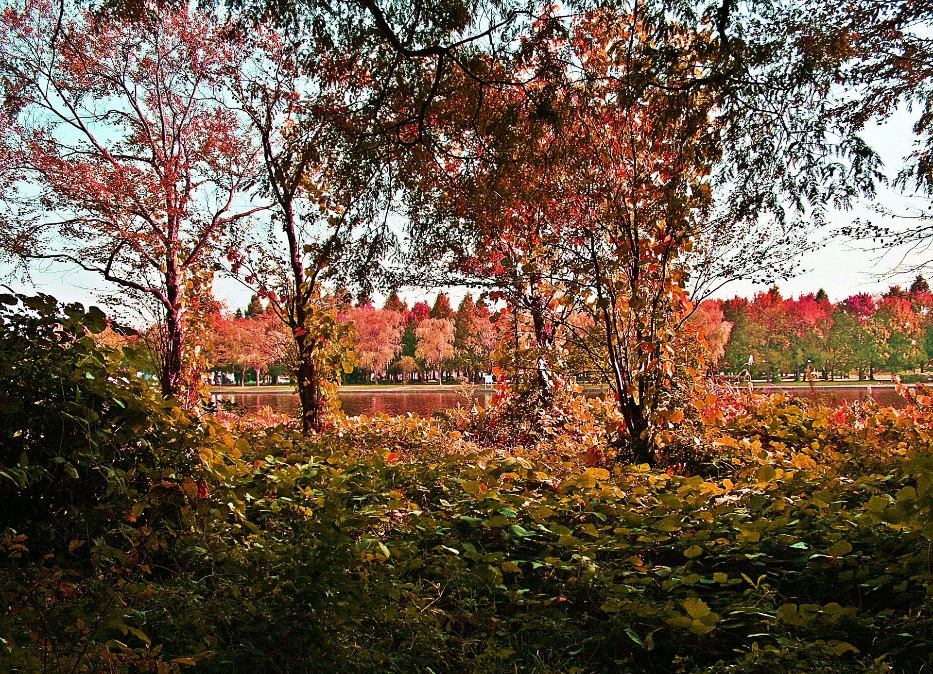 日本の風景 秋の風景 壁紙19x13 壁紙館