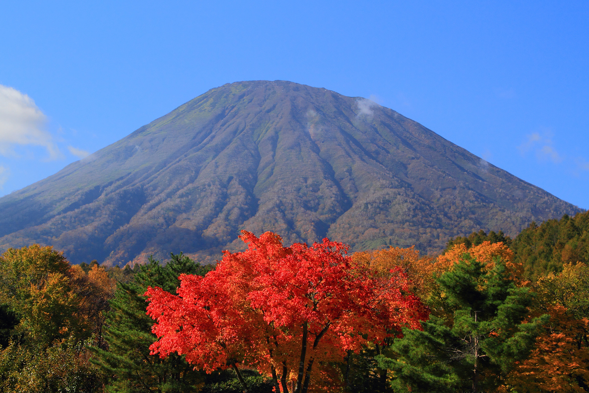 日本の風景 羊蹄山と紅葉 壁紙19x1280 壁紙館