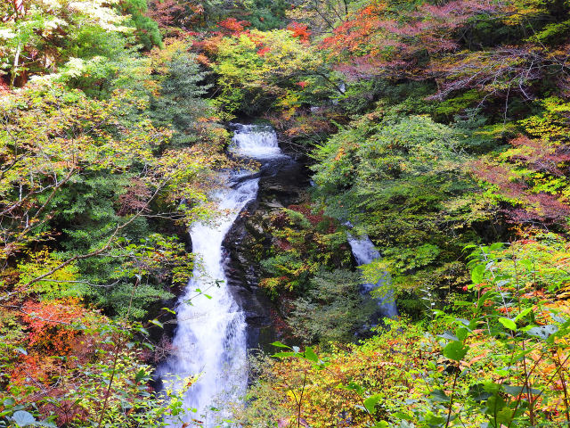 紅葉の芦津渓谷2