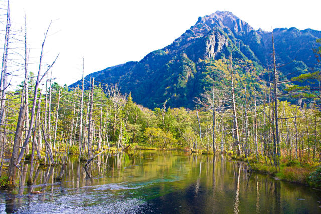 上高地・岳沢湿原