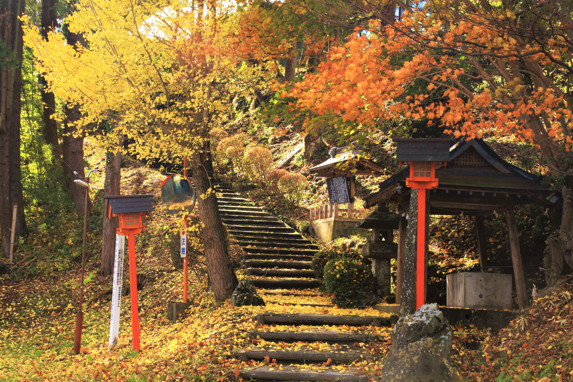 日本の風景 秋の神社 壁紙19x1280 壁紙館