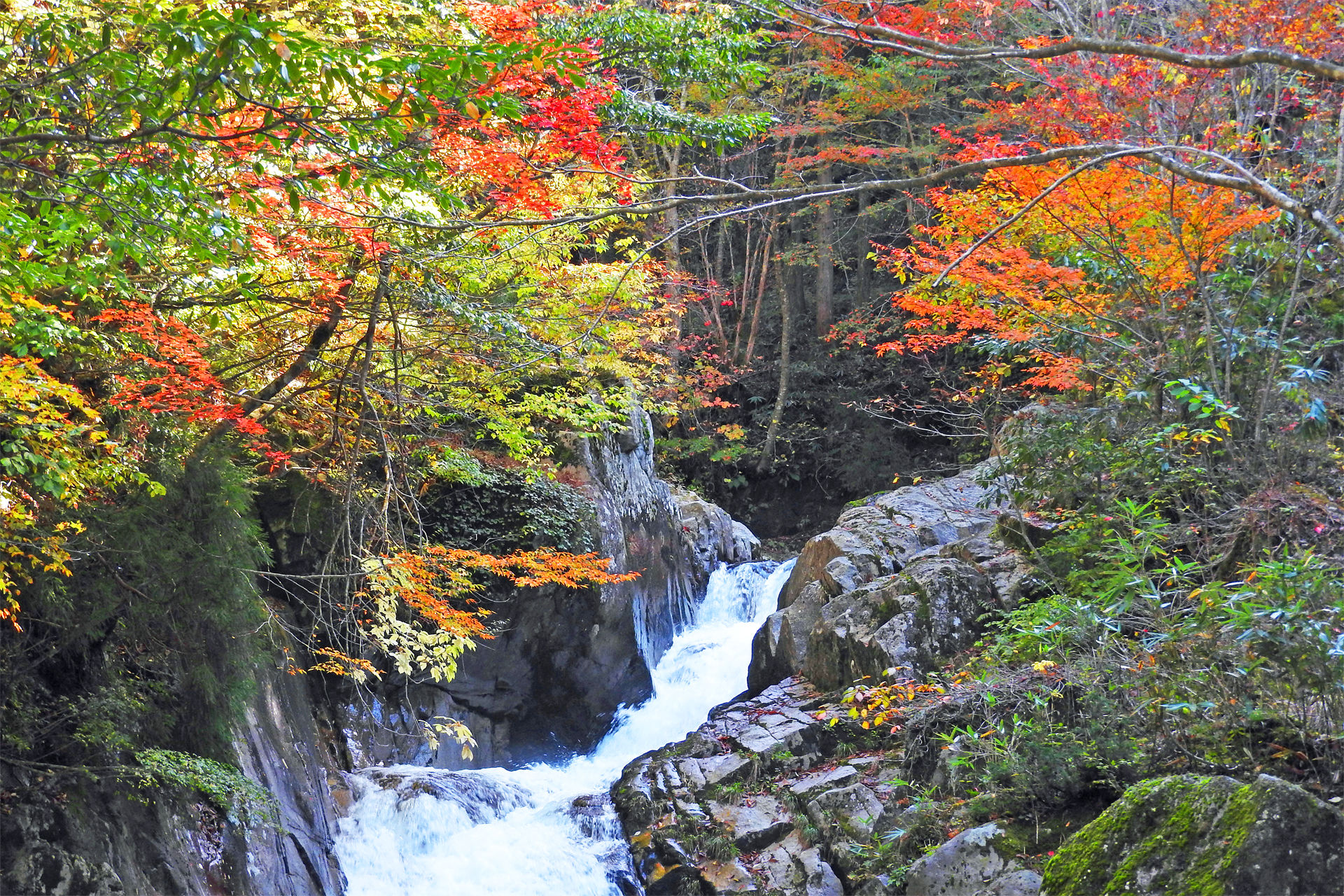 日本の風景 紅葉の芦津渓谷6 壁紙19x1280 壁紙館