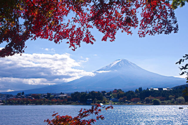 富士山ともみじ