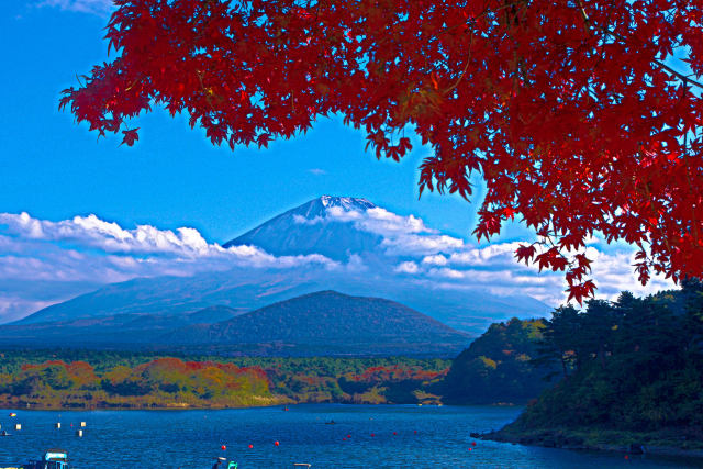 精進湖・湖畔の紅葉と富士山