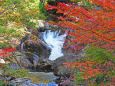 紅葉の芦津渓谷8