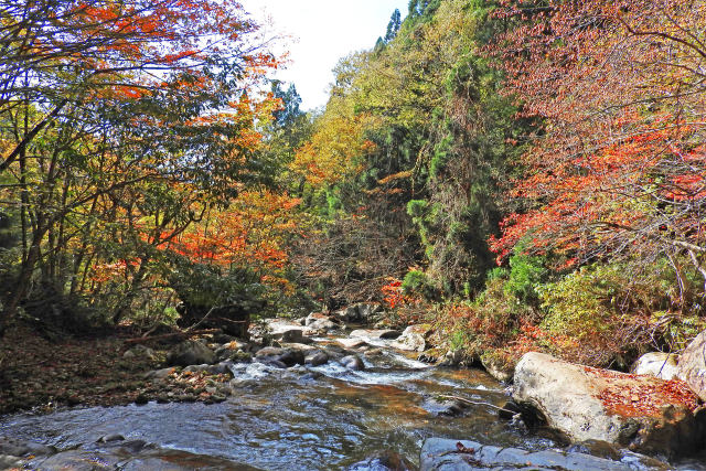 紅葉の芦津渓谷9