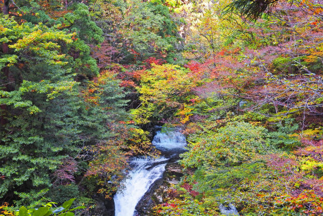 紅葉の芦津渓谷10