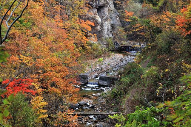 面白山紅葉川渓谷