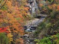 面白山紅葉川渓谷