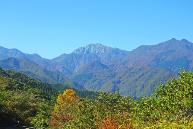 秋の大山