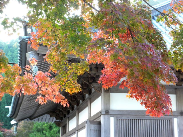 山のお寺で