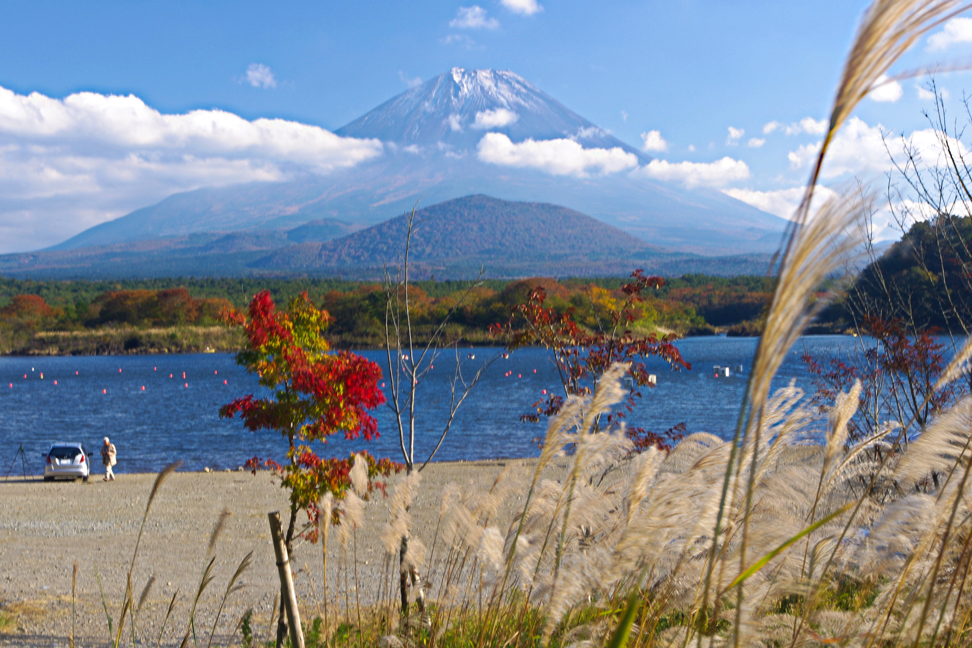 日本の風景 秋の精進湖 富士山とススキ 壁紙19x1280 壁紙館