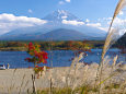秋の精進湖・富士山とススキ
