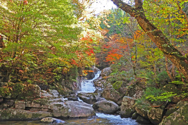 紅葉の芦津渓谷12