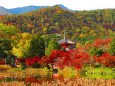 嵯峨野大覚寺大沢池より心経宝塔