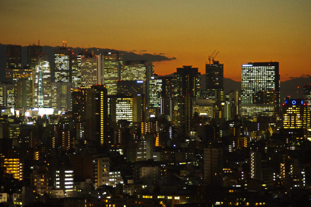 東京トワイライトビュー