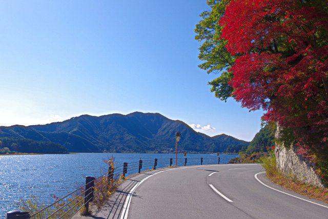 河口湖畔・湖北ビューライン