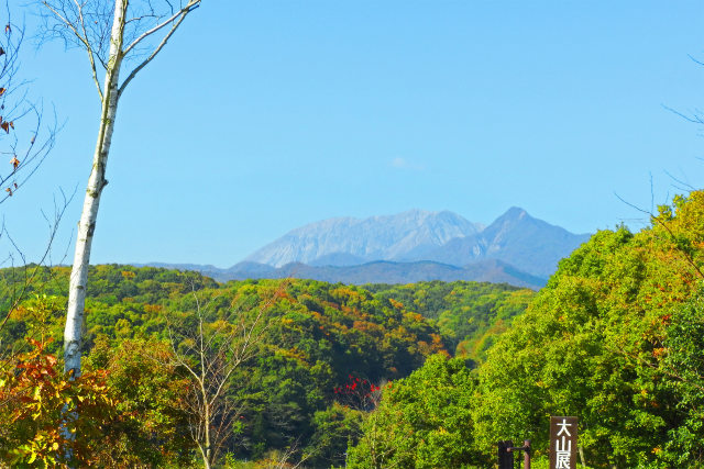 蒜山高原から観る大山南壁