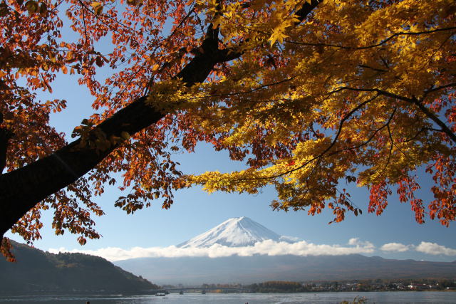 紅葉に富士山