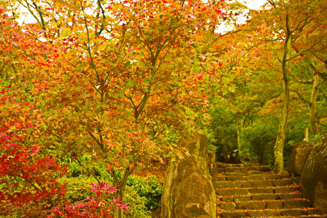 秋の筑波山神社