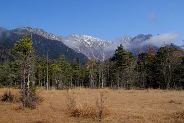 草紅葉の田代湿原