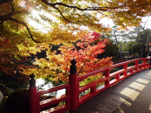 赤橋と紅葉