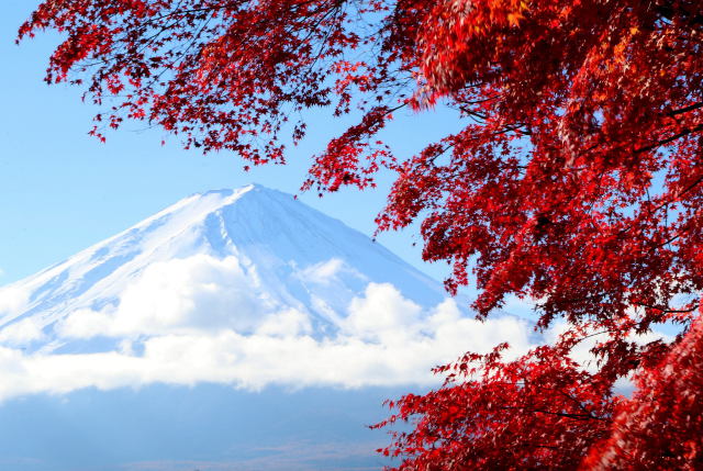 2016 河口湖から紅葉と富士山