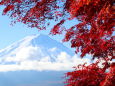 2016 河口湖から紅葉と富士山
