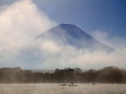 富士山と精進湖