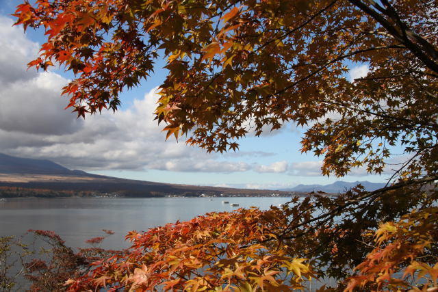 紅葉の中に山中湖