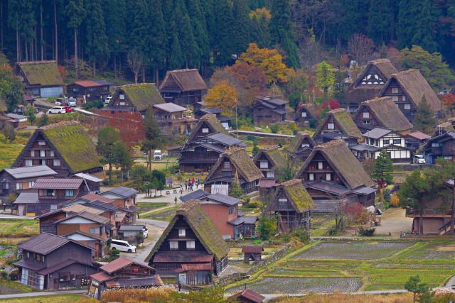 白川郷・合掌造りの秋