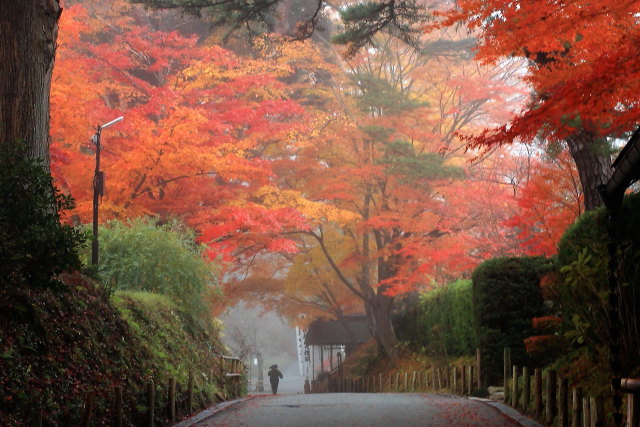 朝靄の中尊寺