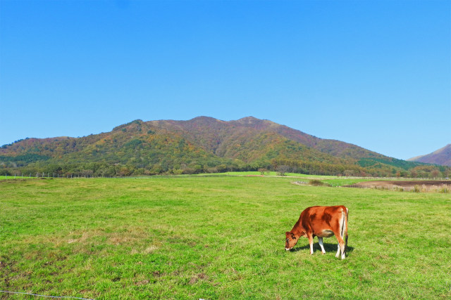 秋の蒜山高原4