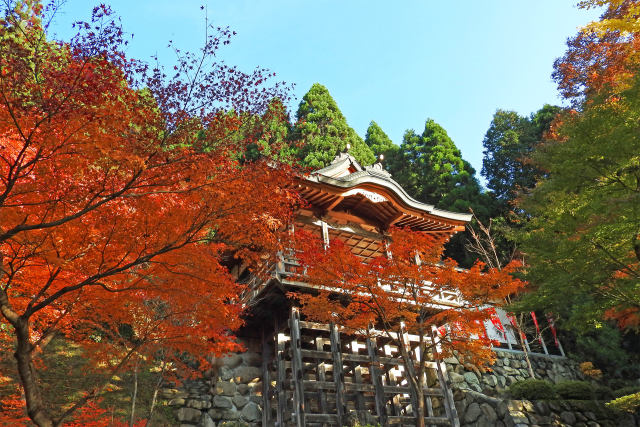 長源寺の楓