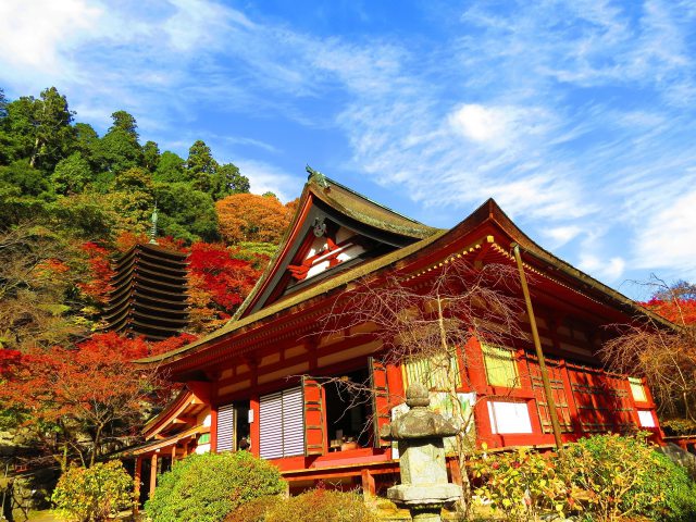 古代王朝伝説の談山神社の秋