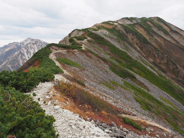 坂の上の雲の山