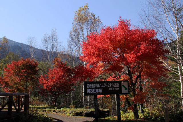 平湯あかんだな駐車場の紅葉