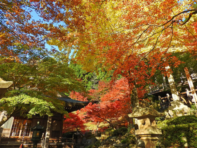 長源寺の紅葉