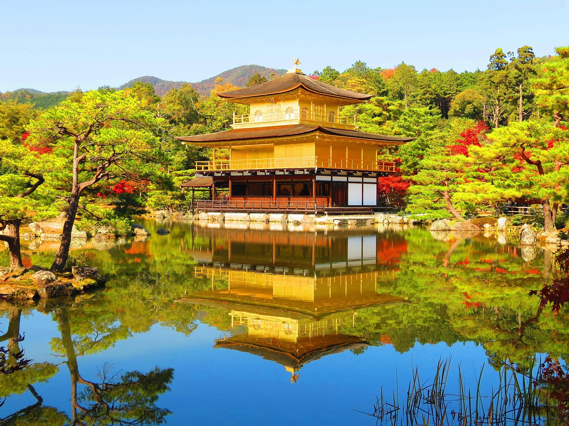 日本の風景 秋の金閣 鹿苑寺 壁紙19x1440 壁紙館